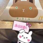 ヒメ日記 2025/11/08 07:12 投稿 池袋しゅうか 大塚デリヘル倶楽部