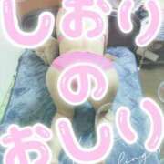 ヒメ日記 2025/10/26 04:02 投稿 神坂しおり 五十路マダム 浜松店(カサブランカグループ)