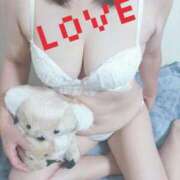 ヒメ日記 2025/10/27 04:26 投稿 神坂しおり 五十路マダム 浜松店(カサブランカグループ)