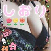 ヒメ日記 2025/11/05 17:32 投稿 神坂しおり 五十路マダム 浜松店(カサブランカグループ)