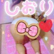 ヒメ日記 2025/11/11 08:32 投稿 神坂しおり 五十路マダム 浜松店(カサブランカグループ)