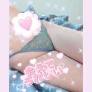 ヒメ日記 2025/12/29 16:10 投稿 神坂しおり 五十路マダム 浜松店(カサブランカグループ)