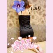 ヒメ日記 2026/01/04 16:52 投稿 神坂しおり 五十路マダム 浜松店(カサブランカグループ)