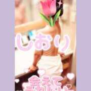 ヒメ日記 2026/01/10 20:38 投稿 神坂しおり 五十路マダム 浜松店(カサブランカグループ)