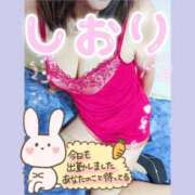 ヒメ日記 2026/01/12 08:52 投稿 神坂しおり 五十路マダム 浜松店(カサブランカグループ)