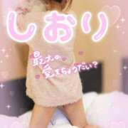 ヒメ日記 2026/01/16 08:46 投稿 神坂しおり 五十路マダム 浜松店(カサブランカグループ)