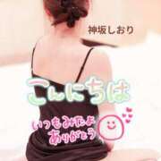 ヒメ日記 2026/01/23 12:08 投稿 神坂しおり 五十路マダム 浜松店(カサブランカグループ)