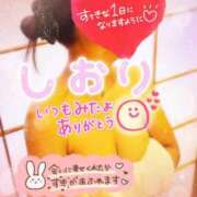 ヒメ日記 2026/02/01 08:46 投稿 神坂しおり 五十路マダム 浜松店(カサブランカグループ)