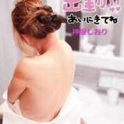 ヒメ日記 2026/02/03 08:52 投稿 神坂しおり 五十路マダム 浜松店(カサブランカグループ)