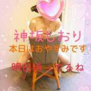 ヒメ日記 2026/02/08 08:46 投稿 神坂しおり 五十路マダム 浜松店(カサブランカグループ)