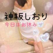 ヒメ日記 2026/02/09 08:46 投稿 神坂しおり 五十路マダム 浜松店(カサブランカグループ)