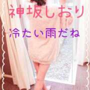 ヒメ日記 2026/02/11 08:48 投稿 神坂しおり 五十路マダム 浜松店(カサブランカグループ)