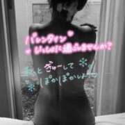 ヒメ日記 2026/02/14 09:00 投稿 神坂しおり 五十路マダム 浜松店(カサブランカグループ)