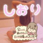 ヒメ日記 2026/02/14 15:00 投稿 神坂しおり 五十路マダム 浜松店(カサブランカグループ)