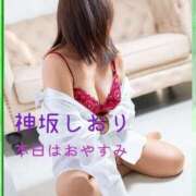 ヒメ日記 2026/02/17 08:46 投稿 神坂しおり 五十路マダム 浜松店(カサブランカグループ)