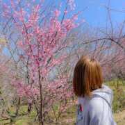 ヒメ日記 2026/03/14 06:56 投稿 はるか 道玄坂クリスタル