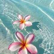 ヒメ日記 2026/04/16 14:36 投稿 はるか 道玄坂クリスタル