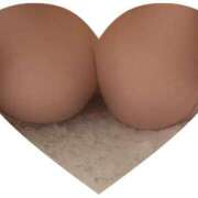 ヒメ日記 2026/03/14 13:12 投稿 すみれ ぽちゃぶらんか金沢店（カサブランカグループ）