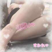 ヒメ日記 2026/03/25 22:50 投稿 すみれ ぽちゃぶらんか金沢店（カサブランカグループ）