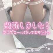 ヒメ日記 2026/04/11 11:54 投稿 すみれ ぽちゃぶらんか金沢店（カサブランカグループ）