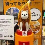 ヒメ日記 2025/11/12 23:49 投稿 蜜璃(みつり) チューリップ宇都宮店