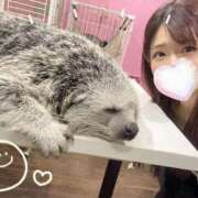 ヒメ日記 2025/12/13 12:26 投稿 あいり 美女のカタチ