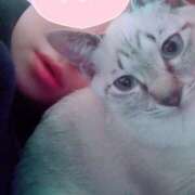 ヒメ日記 2026/04/09 15:42 投稿 みいこ♡母性あふれるほんわか母♡ 富山高岡ちゃんこ