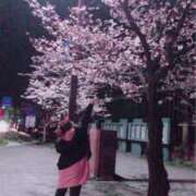 ヒメ日記 2026/04/18 10:48 投稿 みいこ♡母性あふれるほんわか母♡ 富山高岡ちゃんこ