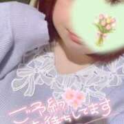 ヒメ日記 2026/05/30 14:16 投稿 みいこ♡母性あふれるほんわか母♡ 富山高岡ちゃんこ