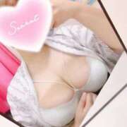 ヒメ日記 2026/02/08 22:24 投稿 いおり 池袋ぱんぷきん（シンデレラグループ）