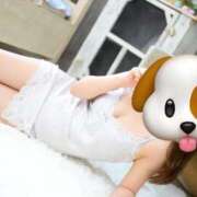 ヒメ日記 2025/12/20 18:18 投稿 ちる ルネッサンス