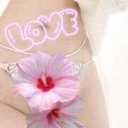 ヒメ日記 2025/11/14 22:57 投稿 宮地(みやぢ) 人妻出逢い会 百合の園 山の手本店