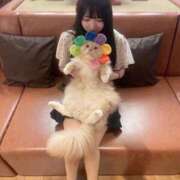 ヒメ日記 2026/05/19 20:53 投稿 みわ TOKYO BUNNYS CLUB