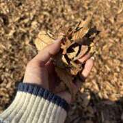 ヒメ日記 2025/12/07 20:58 投稿 つき モアグループ川越人妻花壇