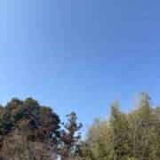 ヒメ日記 2026/02/18 06:50 投稿 つき モアグループ川越人妻花壇