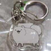 ヒメ日記 2025/10/20 09:49 投稿 八木 鶯谷デッドボール