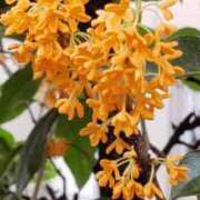 ヒメ日記 2025/10/21 15:19 投稿 八木 鶯谷デッドボール