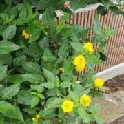 ヒメ日記 2025/10/22 14:29 投稿 八木 鶯谷デッドボール