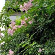 ヒメ日記 2025/10/23 16:49 投稿 八木 鶯谷デッドボール