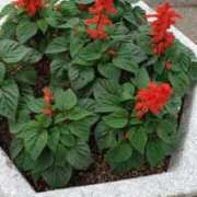 ヒメ日記 2025/10/24 10:20 投稿 八木 鶯谷デッドボール