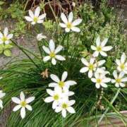 ヒメ日記 2025/10/25 13:10 投稿 八木 鶯谷デッドボール