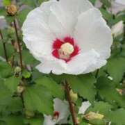 ヒメ日記 2025/10/25 17:40 投稿 八木 鶯谷デッドボール