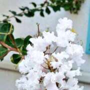 ヒメ日記 2025/10/27 09:26 投稿 八木 鶯谷デッドボール