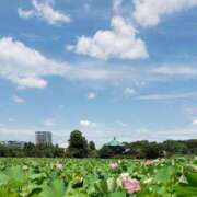 ヒメ日記 2025/10/27 09:59 投稿 八木 鶯谷デッドボール