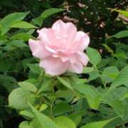 ヒメ日記 2025/10/28 04:29 投稿 八木 鶯谷デッドボール