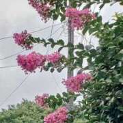 ヒメ日記 2025/10/29 05:09 投稿 八木 鶯谷デッドボール