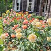 ヒメ日記 2025/10/30 10:30 投稿 八木 鶯谷デッドボール