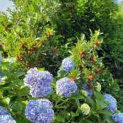 ヒメ日記 2025/10/31 17:12 投稿 八木 鶯谷デッドボール