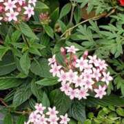 ヒメ日記 2025/11/01 15:59 投稿 八木 鶯谷デッドボール