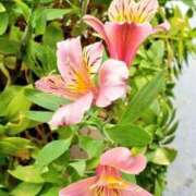 ヒメ日記 2025/11/02 20:33 投稿 八木 鶯谷デッドボール